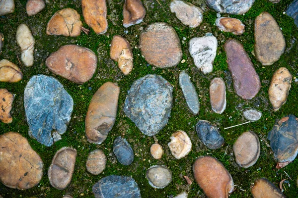 Много Цветных Камней Разных Размеров Зеленой Траве Высокое Качество Фото — стоковое фото