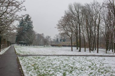 Kasım ayında kar altında Petrin Tepesi. Yüksek kalite fotoğraf