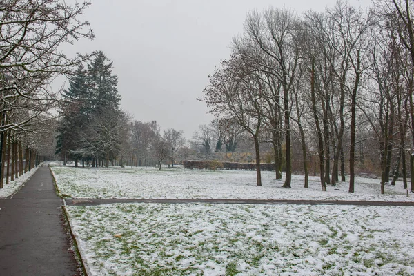 Kasım ayında kar altında Petrin Tepesi. Yüksek kalite fotoğraf