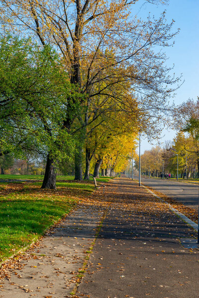 Autumn road in a park in Prague. High quality photo