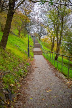 Prag Kalesi 'ne giden güzel bir yol. Yüksek kalite fotoğraf