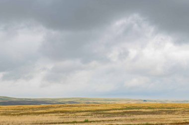 Sky with clouds and yellow steppe in summer. High quality photo