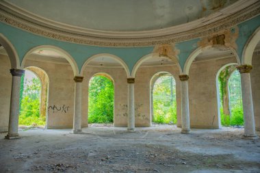 The photograph captures the haunting scene of abandoned buildings and broken sanatoriums engulfed by the relentless force of nature, conveying a sense of eerie beauty and desolation.