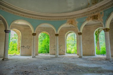 The photograph captures the haunting scene of abandoned buildings and broken sanatoriums engulfed by the relentless force of nature, conveying a sense of eerie beauty and desolation. clipart