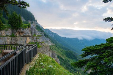 Bir Doğa Sarıldı: Mavi Gökler Parlak Yeşil Tepeleri Sardı. Yüksek kalite fotoğraf