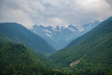Göksel Yükseklik: Mavi Gökler Yeşil Dağ Tepeleriyle Uyum Sağlıyor. Yüksek kalite fotoğraf