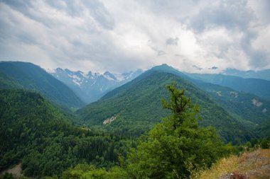 Huzur Açılıyor: Mavi Gökyüzü Yeşil Dağların Güzelliğini Ortaya Çıkarıyor. Yüksek kalite fotoğraf