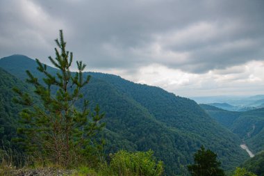 Bir Doğa Senfonisi: Yeşil Dağlar Mavi Gökyüzü ile uyumlu. Yüksek kalite fotoğraf