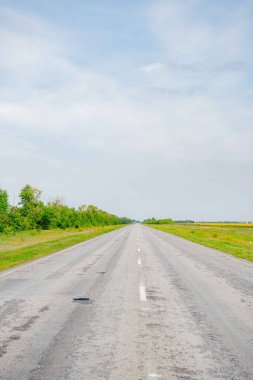 Uzağa ve ayçiçeği tarlalarına uzanan manzaralı bir yol. Yüksek kalite fotoğraf