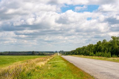 Asfalt yolu ve yeşil alan. Yüksek kalite fotoğraf