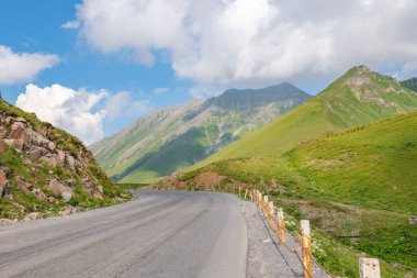 Georgia 'da çok pitoresk bir yılan yeşili yol. Yüksek kalite fotoğraf