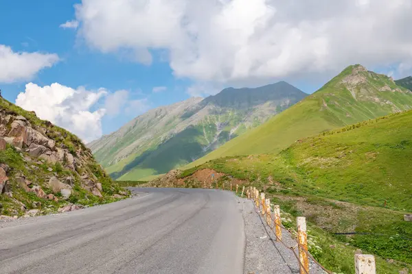 Georgia 'da çok pitoresk bir yılan yeşili yol. Yüksek kalite fotoğraf
