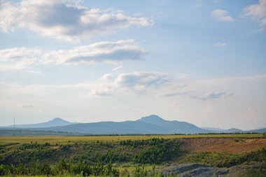 Rusya 'nın resimli doğası ve ayçiçeği tarlaları. Yüksek kalite fotoğraf