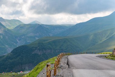 Yazın Georgia dağlarında yılan tehlikeli olur. Yüksek kalite fotoğraf
