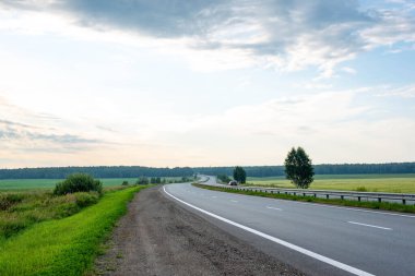 Güzel yol ve tarlalar yeşil ve sarı. Yüksek kalite fotoğraf