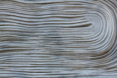 Güzel dalgalı beyaz duvar dokusu. Yüksek kalite fotoğraf