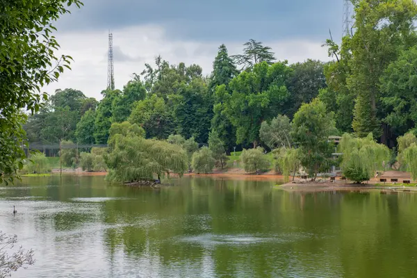 Shekvetili Dendroloji Parkı 'nda çok güzel bir göl. Yüksek kalite fotoğraf