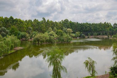Shekvetili Dendroloji Parkı 'nda çok güzel bir göl. Yüksek kalite fotoğraf