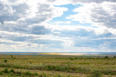 Yazın ve gökyüzünde buğday ve mısır ekilmiş tarlalar. Yüksek kalite fotoğraf