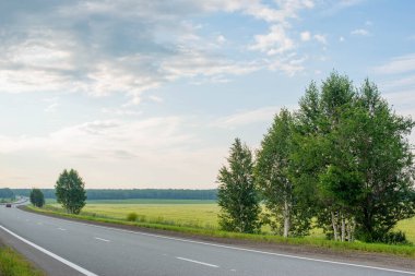 Güzel yol ve tarlalar yeşil ve sarı. Yüksek kalite fotoğraf