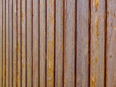 Rustik Senfoni: Güneşle Öpülen Dans, Eski Ahşap Duvardaki Yaşlanmış Planklar - Kırsal Yazda Yıpranmış Tahıl, Renk ve Doku Uyumu