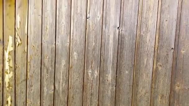 Rustic Symphony Dance Sun Kissed Aged Planks Vintage Woodwork Wall — Αρχείο Βίντεο