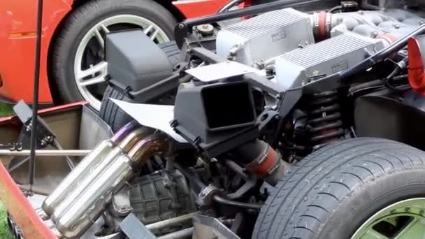 Mulhouse Франція Липня 2011 Ferrari F40 Відкриття Двигуна Під Капотом — стокове відео