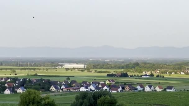 Vue Aérienne Panoramique Issenheim Près Guebwiller Coucher Soleil Oiseau Survolant — Video
