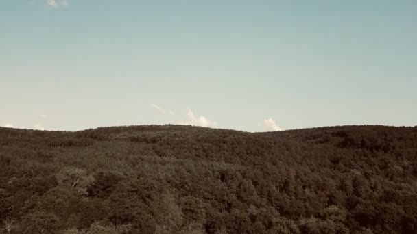 Vzlet Letounu Vintage Sepia Nadmořská Výška Nad Lesem Přeletět Oblohou — Stock video
