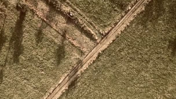 4K空中无人机复古视频 在复古的Sepia Meadow中 一个人独坐在一辆Mtb自行车旁边 俯瞰着树木 草地和小径 — 图库视频影像