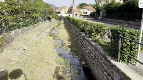 Soultz Haut Rhin France October 2023 Dwindling Waters Rimbach Streambed — Stock Video