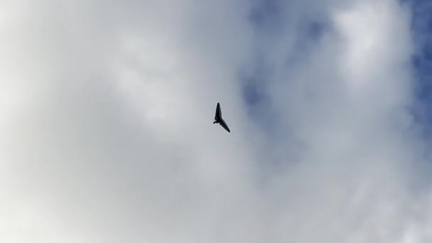 Ανάμεσα Στα Σύννεφα Tranquil Glide Ενός Ultralight Aircraft Πάνω Από — Αρχείο Βίντεο