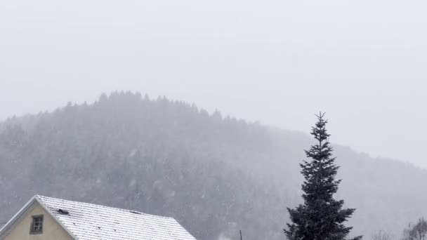 冬のワンダーランド セレン ホワイト ブランケットの森とルーフトップ — ストック動画