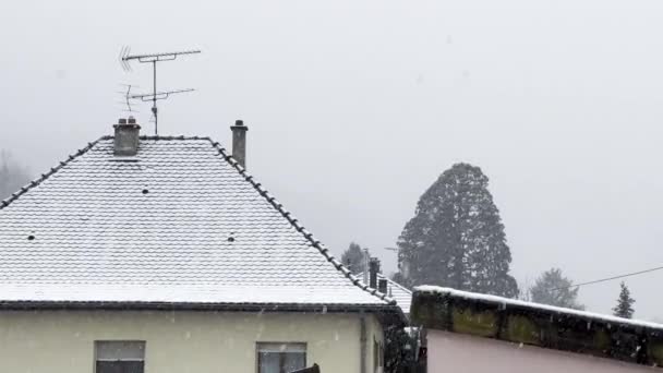 雪のヴェールは静かな近所に降りてくる 白のルフトップと木をブランケンシング — ストック動画