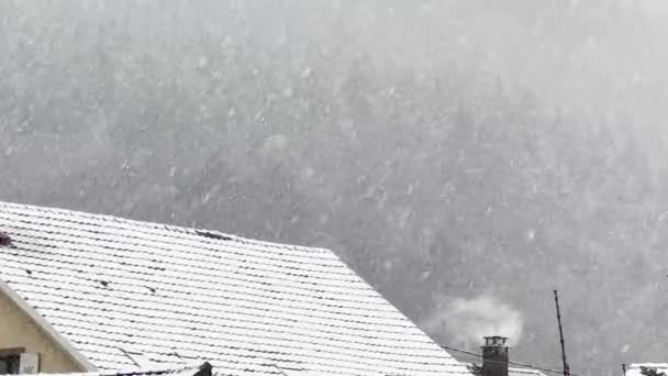 暴雪的芭蕾 大雪吞没了屋顶 从烟囱冒出的烟雾进入了灰蒙蒙的天空 — 图库视频影像