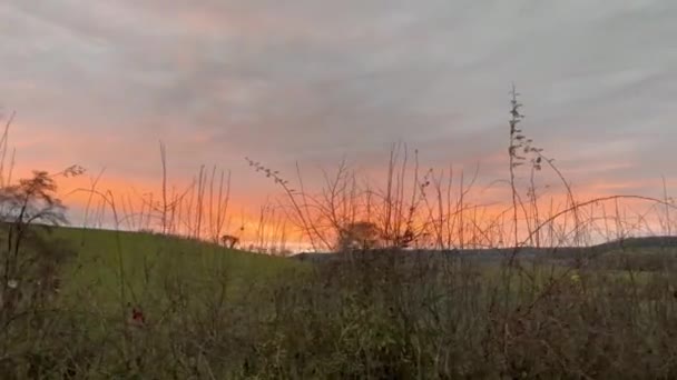 Bezaubernder Sonnenuntergang Durch Kahle Zweige Über Einer Üppigen Landschaft — Stockvideo
