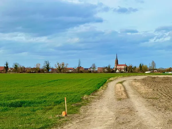 Alsace 'ın Kırsal Bölgesi' nde görkemli bir kilisesi olan antika bir köye giden kırsal patika.
