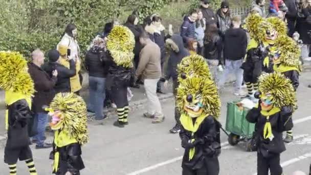 Buhl Γαλλία Φεβρουαρίου 2024 Ζωηρή Παρέλαση Καρναβαλιού Πολύχρωμες Στολές Και — Αρχείο Βίντεο