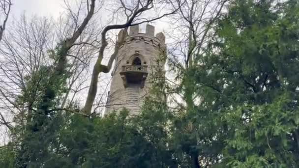 Ιστορική Hasenrain Πύργος Κρυφοκοιτάζοντας Μέσα Από Πλούσιο Πράσινο Στο Mulhouse — Αρχείο Βίντεο