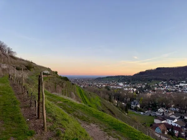 Guebwiller üzerinde Panoramik Bahar Günbatımı, Uzak Alp Tepeleri ile Alsace