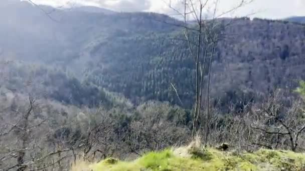 下の緑豊かな渓谷の壮大な景色のための予想に近づく — ストック動画