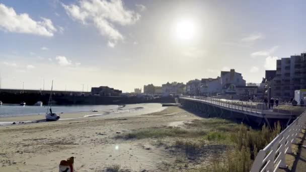 Quiberon Fransa Ekim 2021 Port Quiberon Altın Gün Batımı Demirlemiş — Stok video