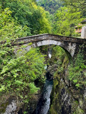 Elevated view of a stone arch bridge crossing over the lush Orrido di Sant'Anna gorge in Traffiume, Cannobio, showcasing the blending of natural and historic architecture clipart