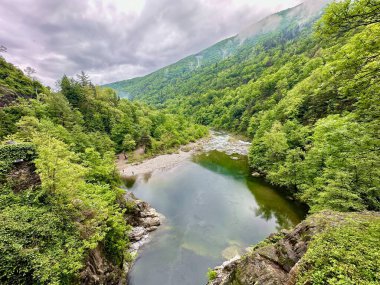 Orrido di Sant 'Anna, Traffiume, Cannobio' daki yemyeşil ormanlarla çevrili sakin bir nehir havuzu bulutlu bir gökyüzü altında, Piemont, İtalya