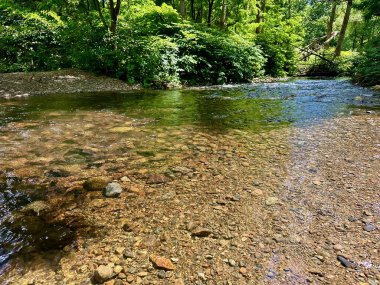 Çakıl taşları ve kayaların üzerinden akan temiz suyla Serene Ormanı, Huzurlu Doğal Nehri çevreleyen yemyeşil bir nehir.