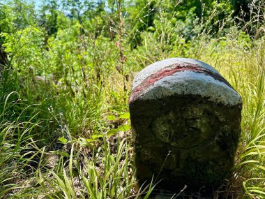 Güneşli bir günde, Ormandaki Yeşillik ve Aşırı Yeşillik Çimlerin Ortasında Kilometre Taşı İşareti