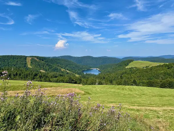 La Bresse 'deki Route des Cretes' den Panoramic Summer View of Lac de la Lande ve Grand Artimont, Vosges: Alpine Lake, Meadows ve Vologne Express Başkanı, Grand Est, Fransa
