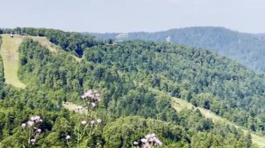 La Bresse 'deki Route des Crtes' ten Panoramic Summer View of Lac de la Lande ve Grand Artimont: Alpine Lake, Meadows ve Vologne Express Başkanı, Grand Est, Fransa