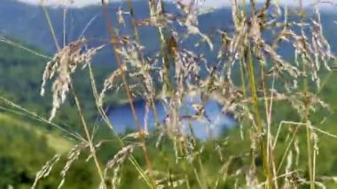 La Bresse 'deki Route des Cretes' den Summer View of Lac de la Lande, Vosges: Fransa 'nın Grand Est kentindeki Lush Green Hills yakınlarındaki Lush Green Hills ve Schlucht Geçidi' ndeki Manzaralı Alp Gölü