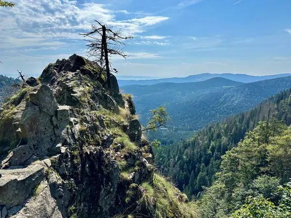 stock image Breathtaking Rocky Mountain Landscape from Sentier des Roches, GR 531 Hiking Trail in the Vosges, Alsace-Lorraine, France, Showcasing Lush Forests and Panoramic Views